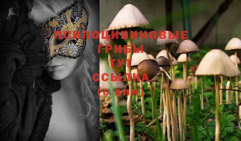 Галлюциногенные грибы MAGIC MUSHROOMS  Коркино 